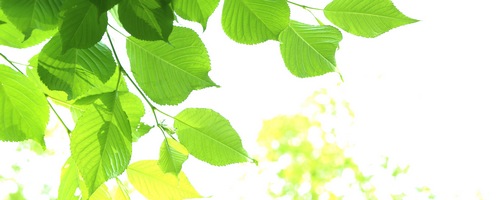 キトー君 真性包茎矯正グッズ販売サイトへ